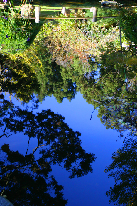 Gar Pond Reflection IMG 6181