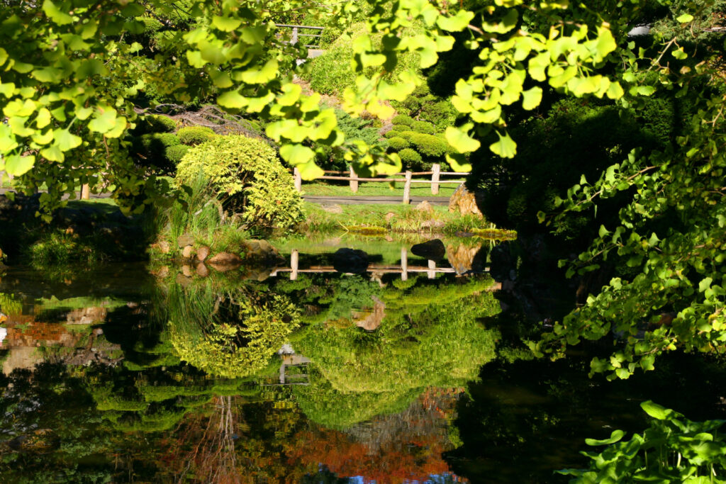 Gar Reflection 1 IMG 6229 1284561555 O 1024x683