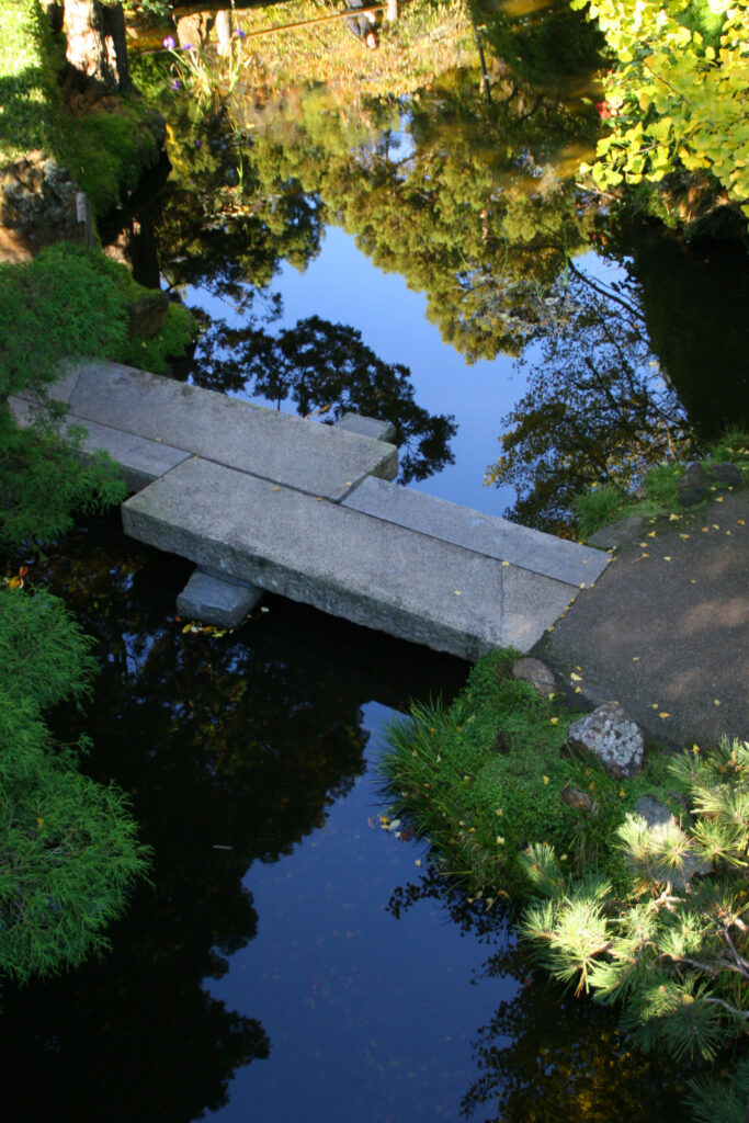 Gar Reflection Path IMG 6195 1284566384 O 683x1024